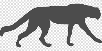 Wildcat Cougar Leopard - Free vector graphic on Pixabay