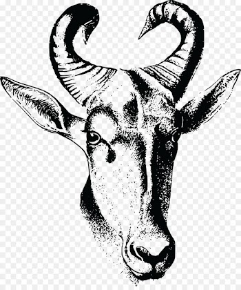 Wildebeest Hartebeest Drawing Image Horn - banjo pattern 