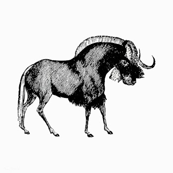 Wildebeest shade drawing | Free stock vector - 562300