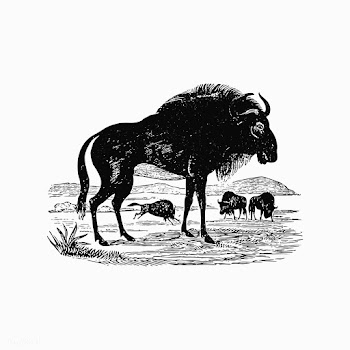 Wildebeest shade drawing | Free stock vector - 562343