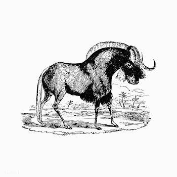Wildebeest shade drawing | Free stock vector - 562417