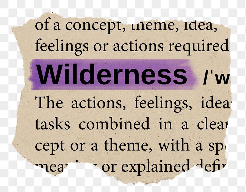 Wilderness png word sticker, torn | Free PNG - rawpixel