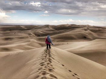 Wilderness Sand The Dunes