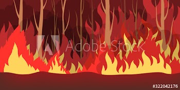Wildfire concept