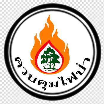 Wildfire Forest Fire control Department of National Parks, Wildlife and Plant Conservation, forest transparent background PNG clipart