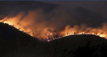 Wildfire in the mountain. Free | Free Photo - rawpixel