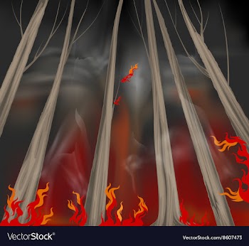 Wildfire scene vector image