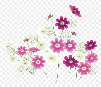 Wildflower Clip Art - Wildflower Clip Art