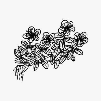 Wildflower drawing, floral illustration vector. | Free Vector Illustration - rawpixel