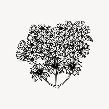 Wildflower drawing, floral illustration vector. | Free Vector Illustration - rawpixel