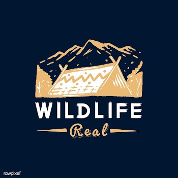 Wildlife and adventure badge | Free stock vector - 575117