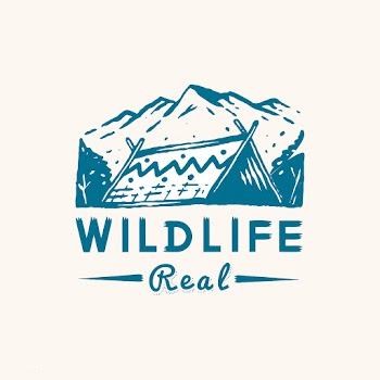 Wildlife and adventure badge | Free stock vector - 575120