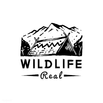 Wildlife and adventure badge | Free stock vector - 575161