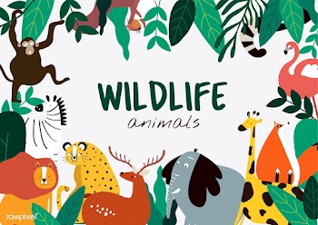 Wildlife animals cartoon style animals templa.. | Free stock vector - 477145