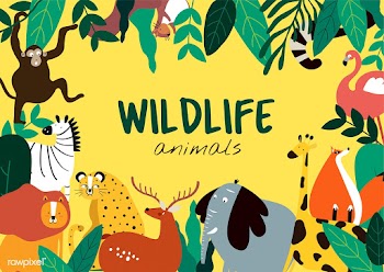 Wildlife animals cartoon style animals templa.. | Free stock vector - 477148