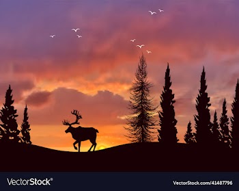 wildlife landscape with reindeer forest at sunset
