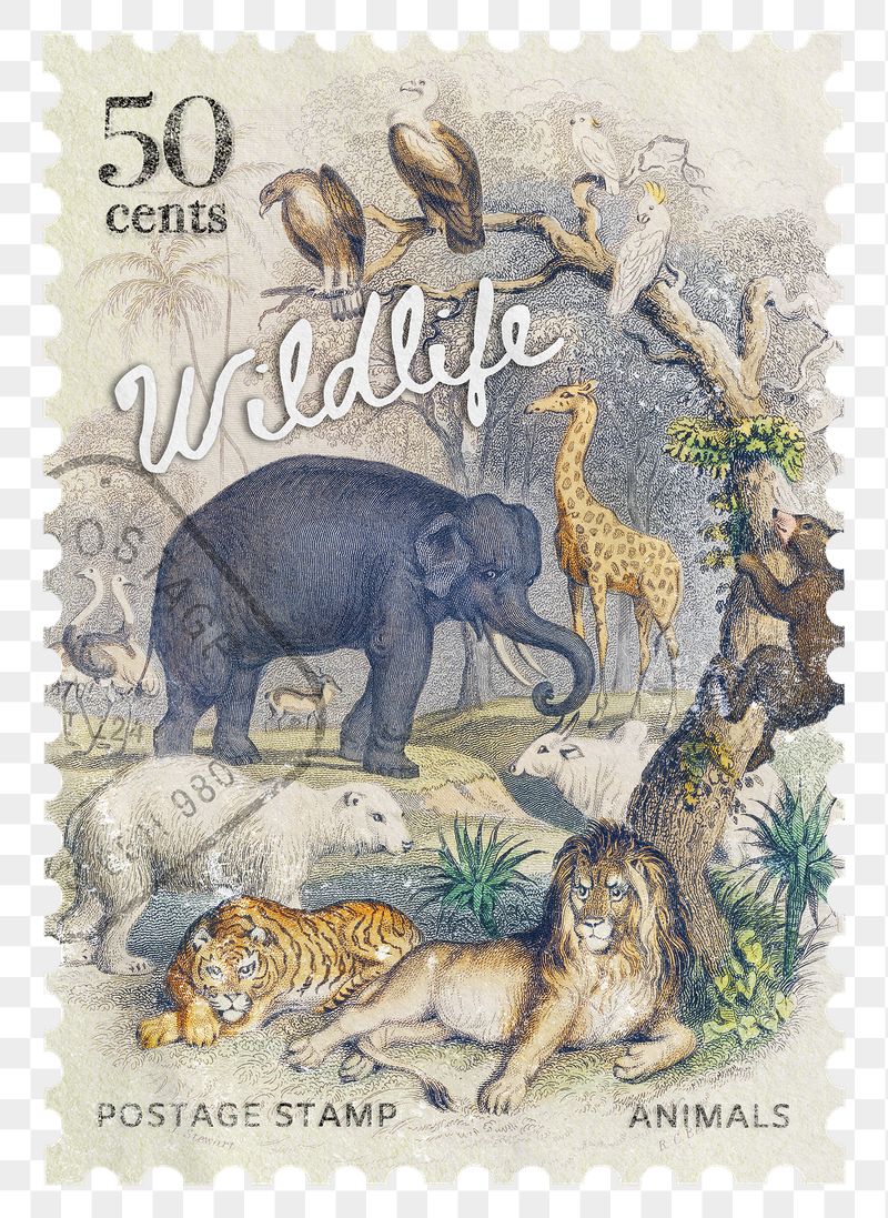 Wildlife png post stamp, ephemera | Free PNG - rawpixel