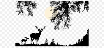 Wildlife vector 