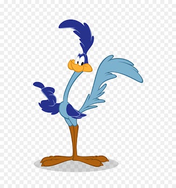Wile E. Coyote and the Road Runner Greater roadrunner - runner 