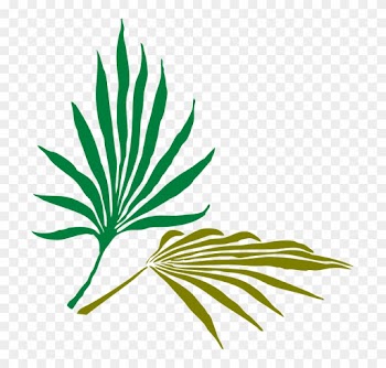 Willow Leaf Cliparts 11, Buy Clip Art - Palm Frond Clip Art