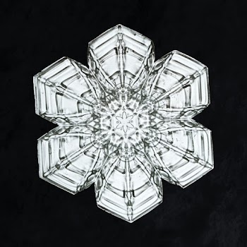 Wilson Bentley's Snowflake 10 (ca. 1890) detailed photograph of snowflakes in high resolution by Wilson Alwyn Bentley. Original from The Smithsonian. Digitally enhanced by rawpixel.