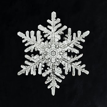 Wilson Bentley's Snowflake 1152 (ca. 1890) detailed photograph of snowflakes in high resolution by Wilson Alwyn Bentley. Original from The Smithsonian. Digitally enhanced by rawpixel.