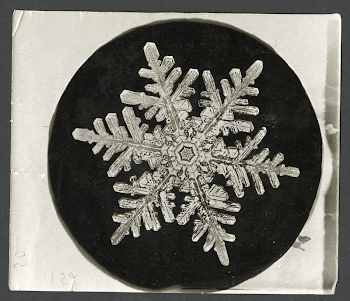 Wilson Bentley's Snowflake 1152 (ca. | Free Photo - rawpixel