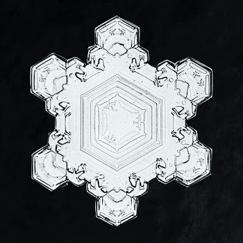 Wilson Bentley's Snowflake 1205 (ca. 1890) detailed photograph of snowflakes in high resolution by Wilson Alwyn Bentley. Original from The Smithsonian. Digitally enhanced by rawpixel.