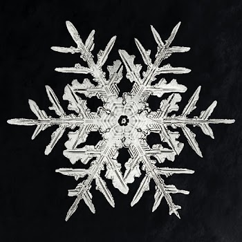 Wilson Bentley's Snowflake 332 (ca. 1890) detailed photograph of snowflakes in high resolution by Wilson Alwyn Bentley. Original from The Smithsonian. Digitally enhanced by rawpixel.