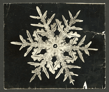 Wilson Bentley's Snowflake 332 (ca. | Free Photo - rawpixel