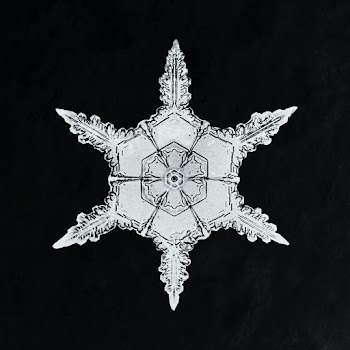 Wilson Bentley's Snowflake 342 (ca. 1890) detailed photograph of snowflakes in high resolution by Wilson Alwyn Bentley. Original from The Smithsonian. Digitally enhanced by rawpixel.
