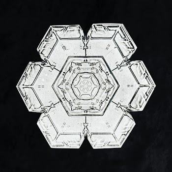 Wilson Bentley's Snowflake 562 (ca. 1890) detailed photograph of snowflakes in high resolution by Wilson Alwyn Bentley. Original from The Smithsonian. Digitally enhanced by rawpixel.