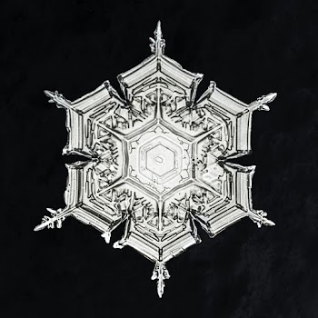 Wilson Bentley's Snowflake 579A (ca. 1890) detailed photograph of snowflakes in high resolution by Wilson Alwyn Bentley. Original from The Smithsonian. Digitally enhanced by rawpixel.