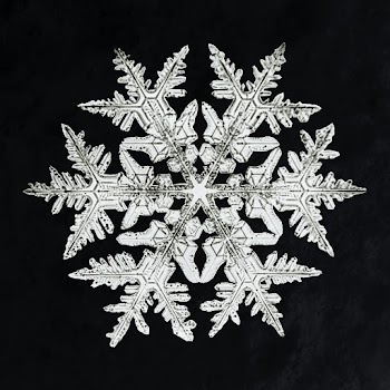 Wilson Bentley's Snowflake 920 (ca. 1890) detailed photograph of snowflakes in high resolution by Wilson Alwyn Bentley. Original from The Smithsonian. Digitally enhanced by rawpixel.