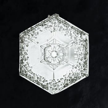 Wilson Bentley's Snowflake 951 (ca. 1890) detailed photograph of snowflakes in high resolution by Wilson Alwyn Bentley. Original from The Smithsonian. Digitally enhanced by rawpixel.