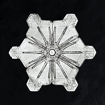 Wilson Bentley's Snowflake 976 (ca. 1890) detailed photograph of snowflakes in high resolution by Wilson Alwyn Bentley. Original from The Smithsonian. Digitally enhanced by rawpixel.