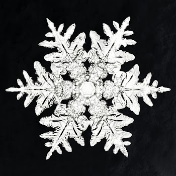 Wilson Bentley's Snowflake 990 (ca. 1890) detailed photograph of snowflakes in high resolution by Wilson Alwyn Bentley. Original from The Smithsonian. Digitally enhanced by rawpixel.