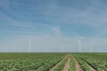 Wind Turbines on Grass Field