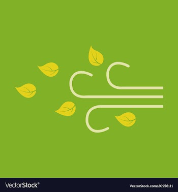 Wind with leafs icon in flat style isolated on vector image