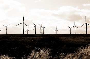 windfarm.jpg