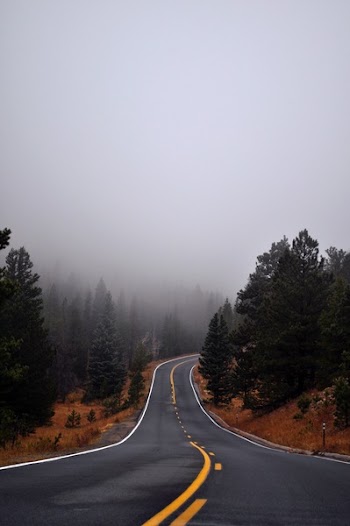 Winding Road 