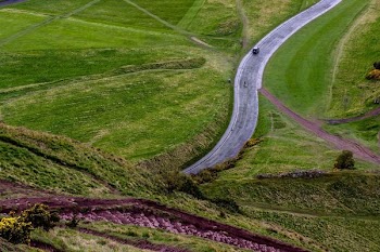 winding road near green grass field