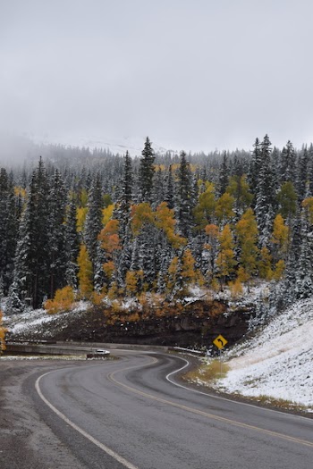 Winding Road Near Mountain Surrounded With Trees