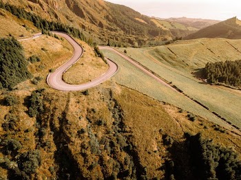 Winding Road Through Grassy And Tree Lined Hills
