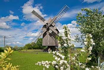 Windmill