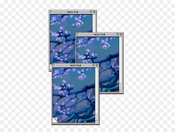 Window - Aesthetics 