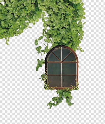 Window, Background leaves windows transparent background PNG clipart