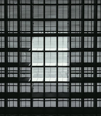 Window Blind