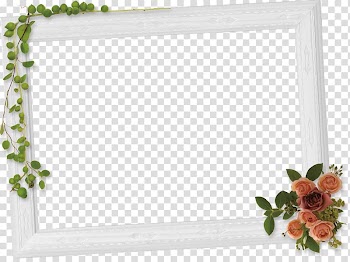 Window Frames Cut flowers Rectangle, window transparent background PNG clipart