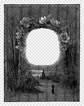 Window Frames Still life , polaroid frame transparent background PNG clipart